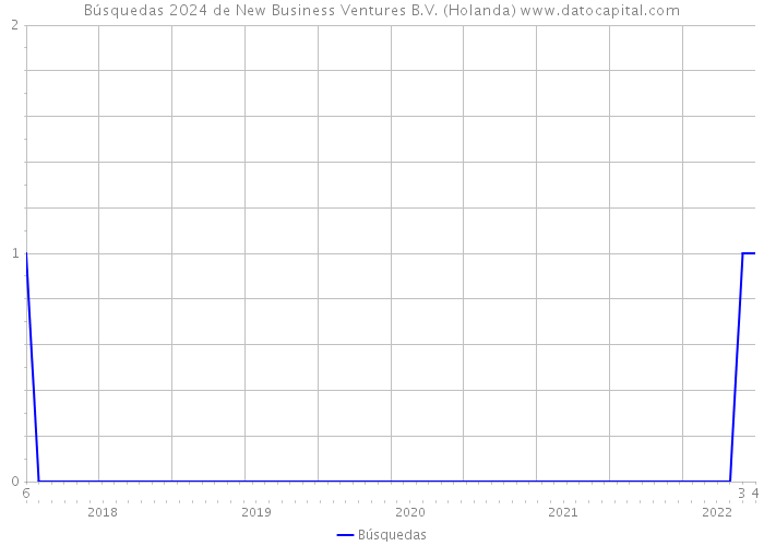 Búsquedas 2024 de New Business Ventures B.V. (Holanda) 