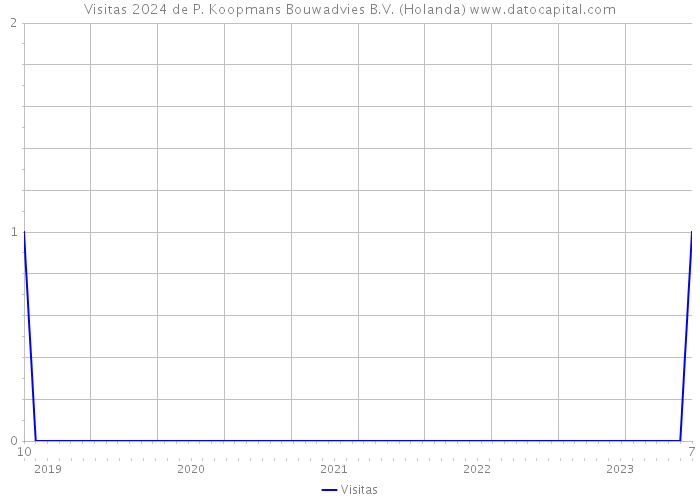 Visitas 2024 de P. Koopmans Bouwadvies B.V. (Holanda) 