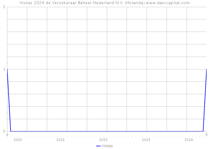 Visitas 2024 de Verzekeraar Beheer Nederland N.V. (Holanda) 