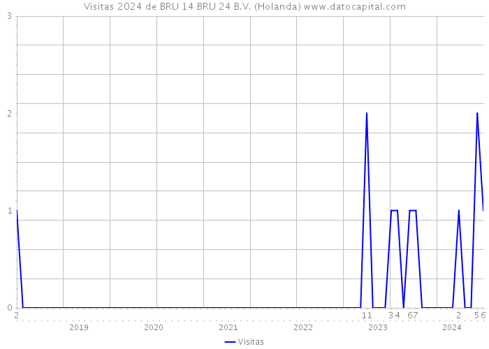 Visitas 2024 de BRU 14 BRU 24 B.V. (Holanda) 