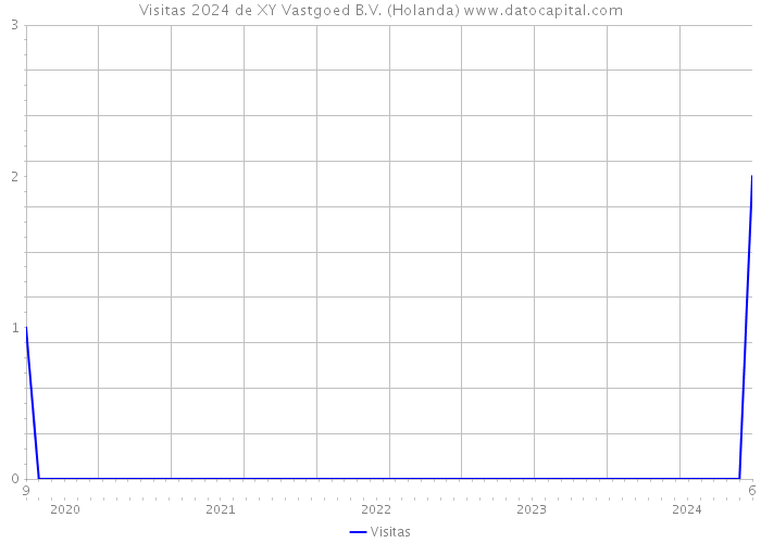 Visitas 2024 de XY Vastgoed B.V. (Holanda) 