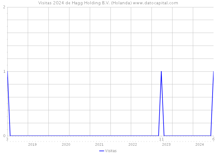 Visitas 2024 de Hagg Holding B.V. (Holanda) 