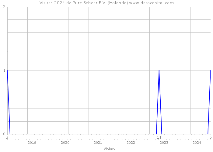 Visitas 2024 de Pure Beheer B.V. (Holanda) 