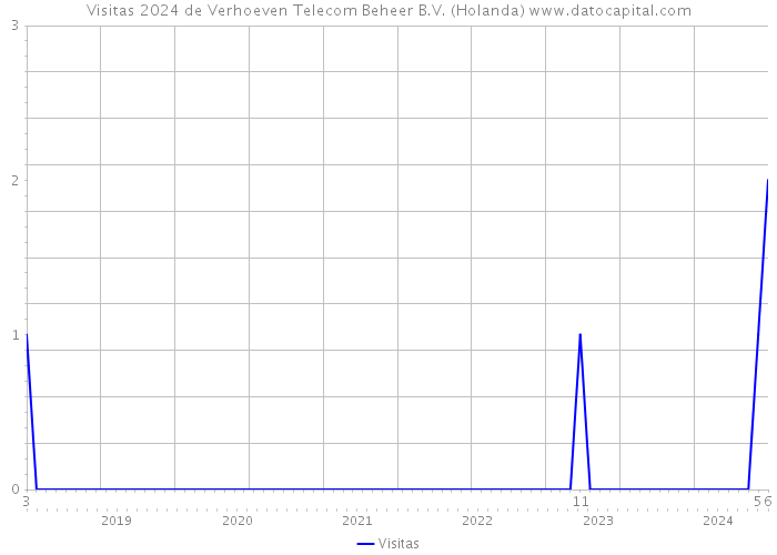 Visitas 2024 de Verhoeven Telecom Beheer B.V. (Holanda) 