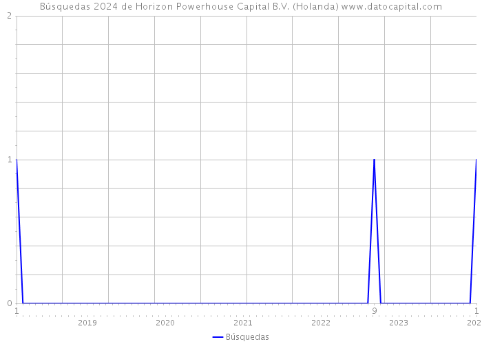 Búsquedas 2024 de Horizon Powerhouse Capital B.V. (Holanda) 