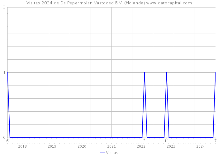 Visitas 2024 de De Pepermolen Vastgoed B.V. (Holanda) 