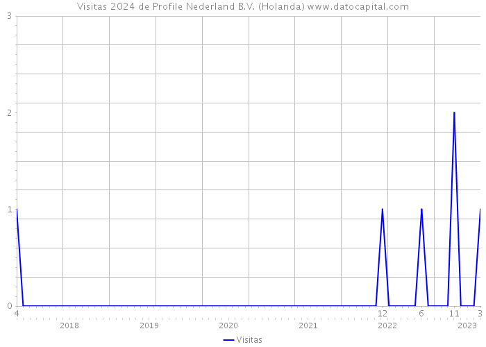 Visitas 2024 de Profile Nederland B.V. (Holanda) 