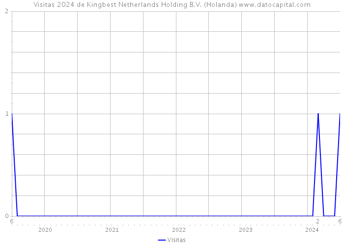 Visitas 2024 de Kingbest Netherlands Holding B.V. (Holanda) 