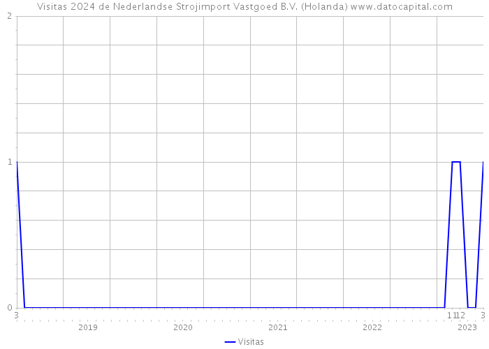 Visitas 2024 de Nederlandse Strojimport Vastgoed B.V. (Holanda) 