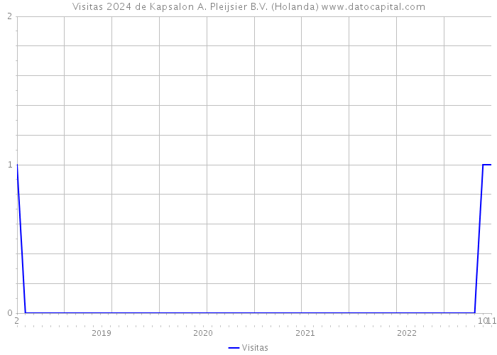 Visitas 2024 de Kapsalon A. Pleijsier B.V. (Holanda) 