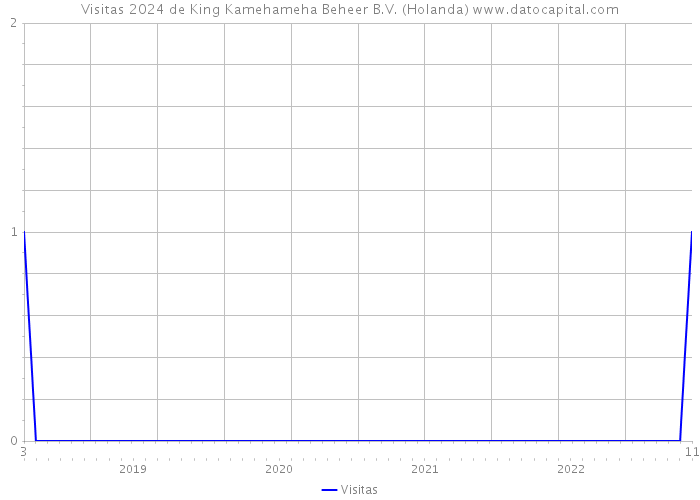 Visitas 2024 de King Kamehameha Beheer B.V. (Holanda) 