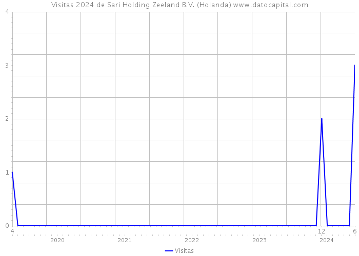 Visitas 2024 de Sari Holding Zeeland B.V. (Holanda) 