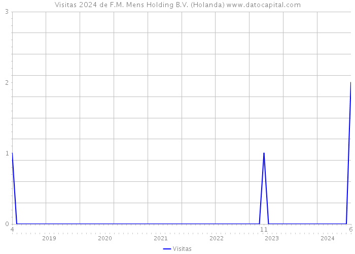 Visitas 2024 de F.M. Mens Holding B.V. (Holanda) 