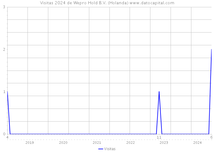 Visitas 2024 de Wepro Hold B.V. (Holanda) 