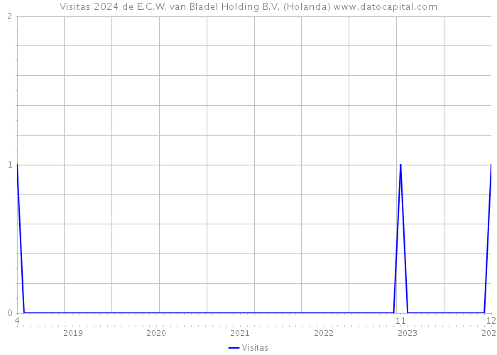 Visitas 2024 de E.C.W. van Bladel Holding B.V. (Holanda) 