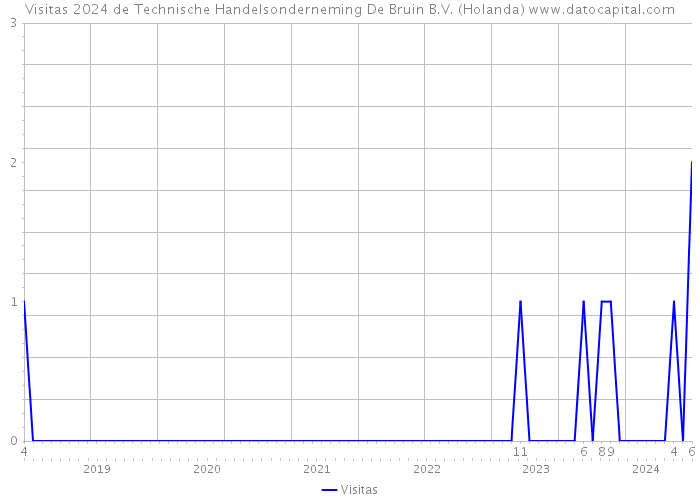 Visitas 2024 de Technische Handelsonderneming De Bruin B.V. (Holanda) 