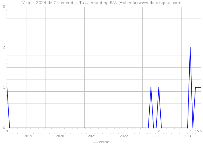 Visitas 2024 de Groenendijk Tussenholding B.V. (Holanda) 