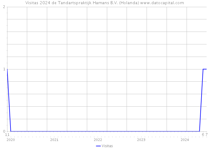 Visitas 2024 de Tandartspraktijk Hamans B.V. (Holanda) 