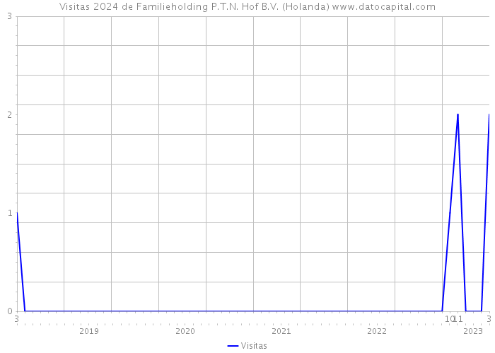 Visitas 2024 de Familieholding P.T.N. Hof B.V. (Holanda) 