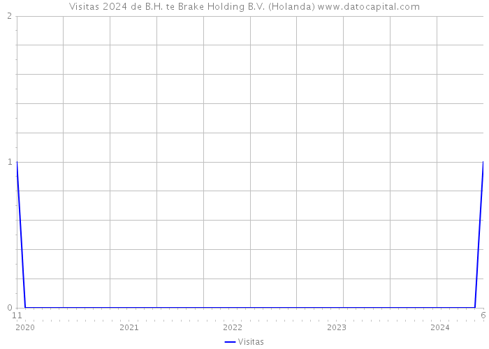 Visitas 2024 de B.H. te Brake Holding B.V. (Holanda) 
