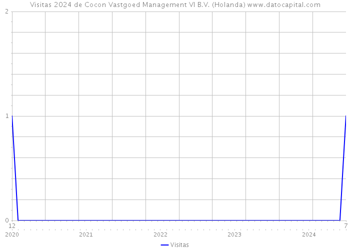 Visitas 2024 de Cocon Vastgoed Management VI B.V. (Holanda) 