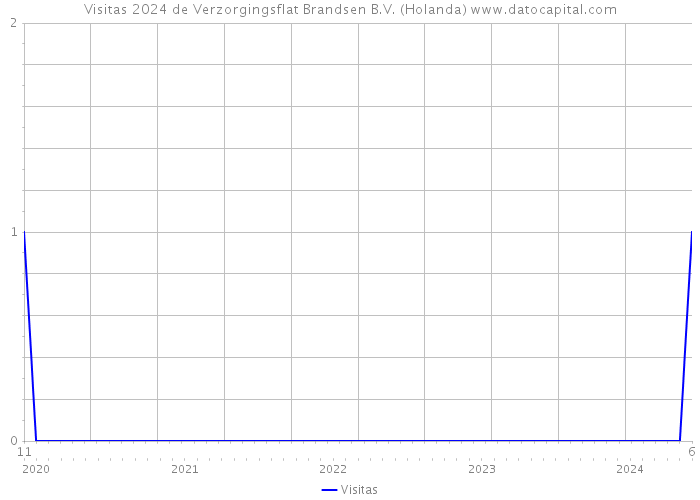 Visitas 2024 de Verzorgingsflat Brandsen B.V. (Holanda) 