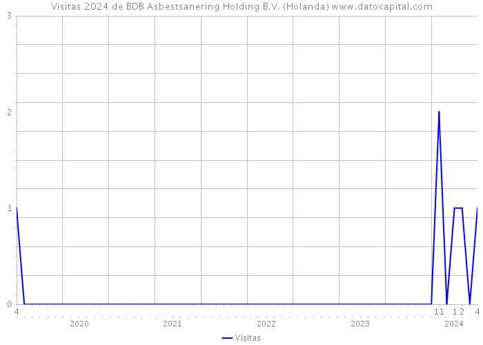 Visitas 2024 de BDB Asbestsanering Holding B.V. (Holanda) 
