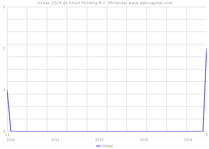 Visitas 2024 de Kruin Holding B.V. (Holanda) 