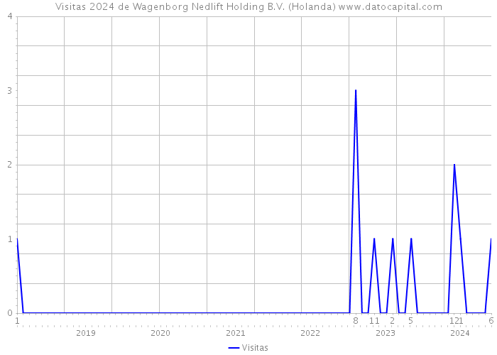 Visitas 2024 de Wagenborg Nedlift Holding B.V. (Holanda) 