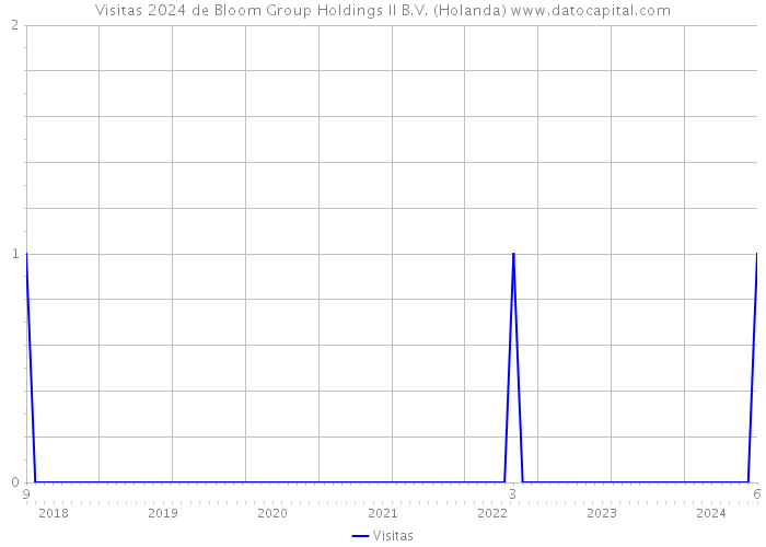 Visitas 2024 de Bloom Group Holdings II B.V. (Holanda) 