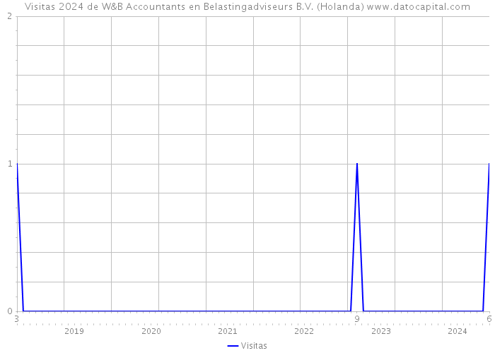 Visitas 2024 de W&B Accountants en Belastingadviseurs B.V. (Holanda) 