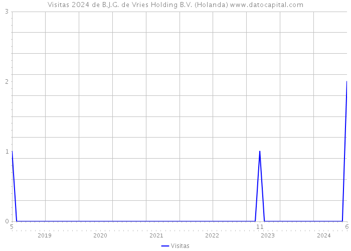 Visitas 2024 de B.J.G. de Vries Holding B.V. (Holanda) 