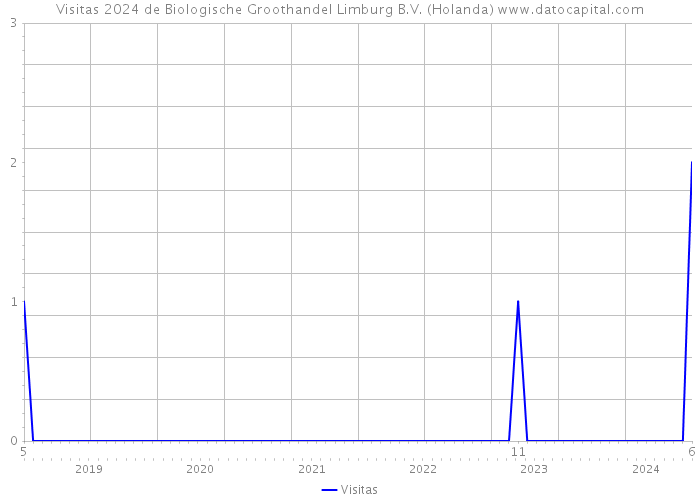 Visitas 2024 de Biologische Groothandel Limburg B.V. (Holanda) 
