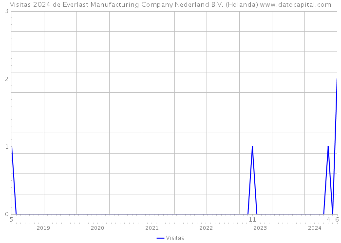 Visitas 2024 de Everlast Manufacturing Company Nederland B.V. (Holanda) 