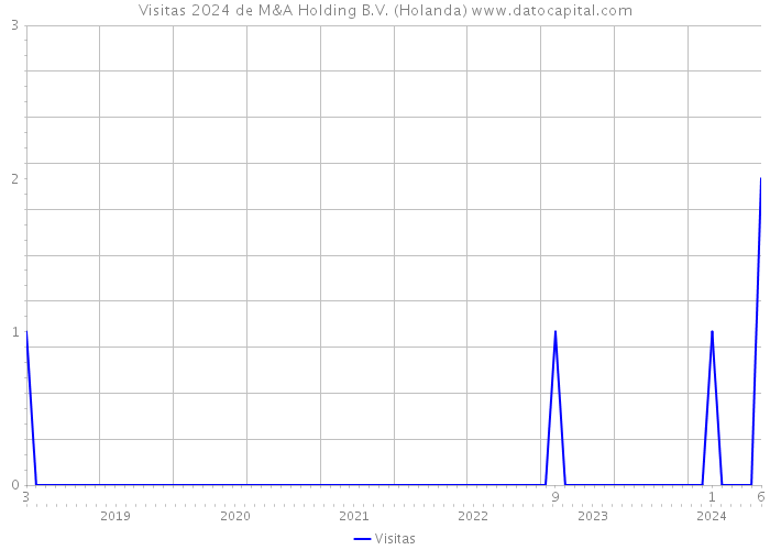 Visitas 2024 de M&A Holding B.V. (Holanda) 