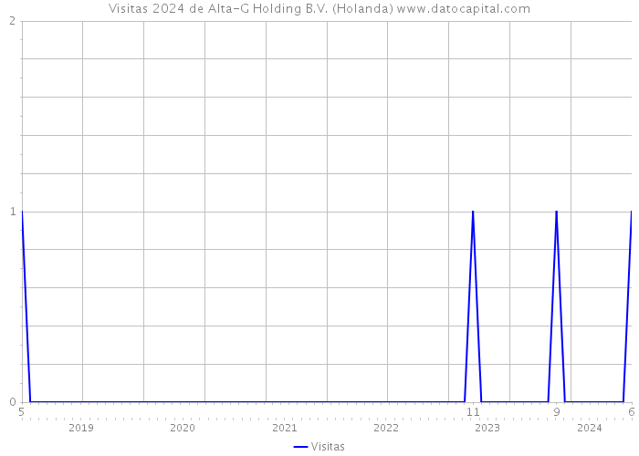 Visitas 2024 de Alta-G Holding B.V. (Holanda) 