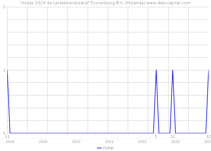 Visitas 2024 de Leidekkersbedrijf Toorenburg B.V. (Holanda) 