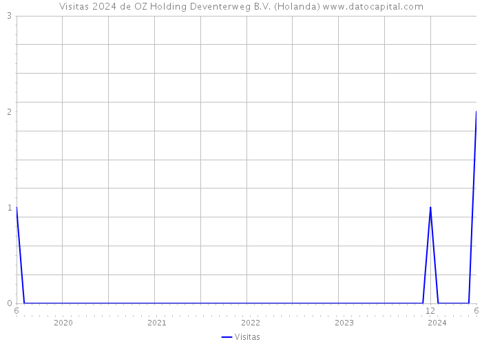 Visitas 2024 de OZ Holding Deventerweg B.V. (Holanda) 