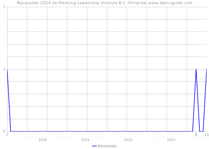 Búsquedas 2024 de Meaning Leadership Institute B.V. (Holanda) 