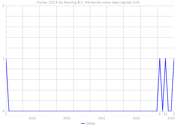 Visitas 2024 de Hesling B.V. (Holanda) 