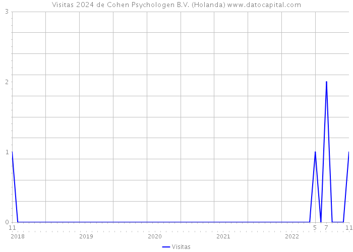 Visitas 2024 de Cohen Psychologen B.V. (Holanda) 