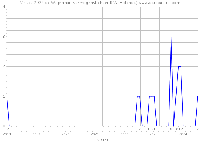 Visitas 2024 de Weijerman Vermogensbeheer B.V. (Holanda) 