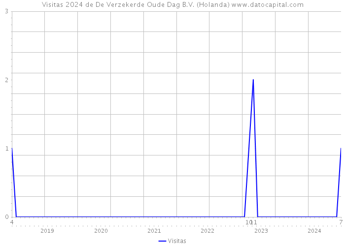 Visitas 2024 de De Verzekerde Oude Dag B.V. (Holanda) 