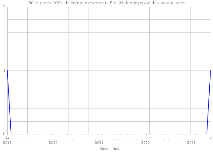 Búsquedas 2024 de Wang Investments B.V. (Holanda) 