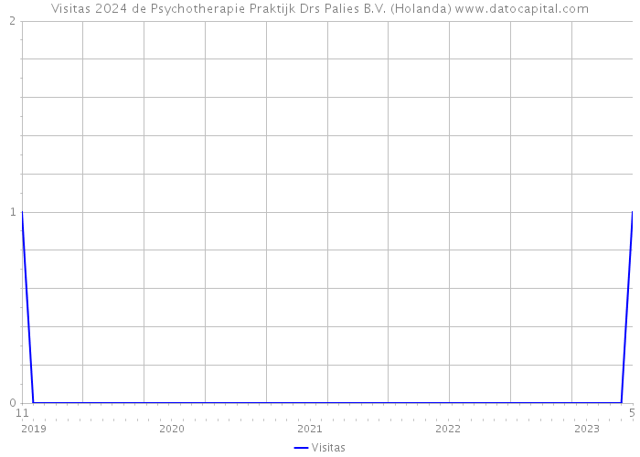 Visitas 2024 de Psychotherapie Praktijk Drs Palies B.V. (Holanda) 