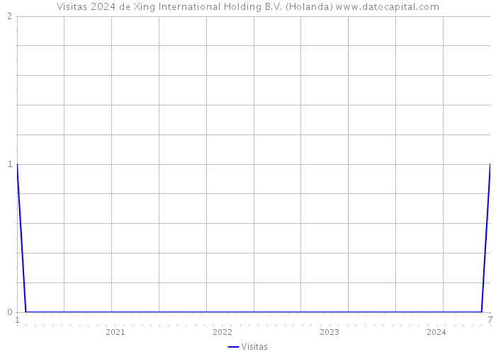 Visitas 2024 de Xing International Holding B.V. (Holanda) 