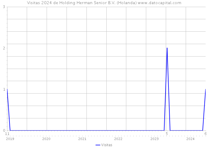 Visitas 2024 de Holding Herman Senior B.V. (Holanda) 