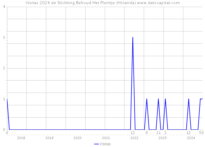 Visitas 2024 de Stichting Behoud Het Pleintje (Holanda) 