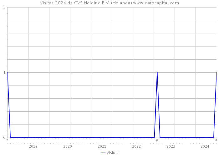 Visitas 2024 de CVS Holding B.V. (Holanda) 