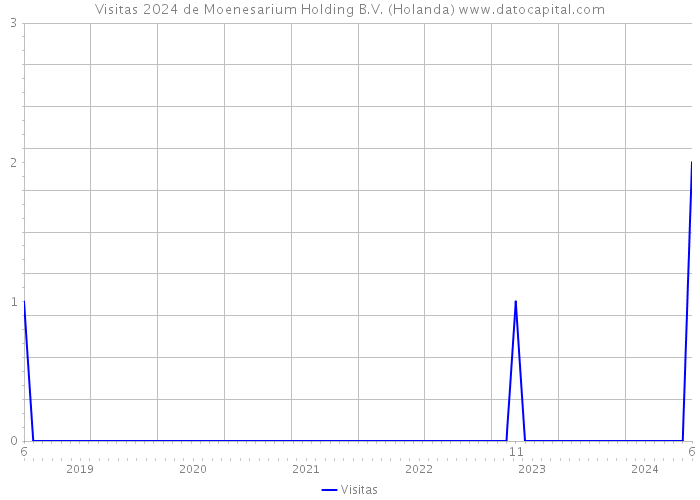 Visitas 2024 de Moenesarium Holding B.V. (Holanda) 